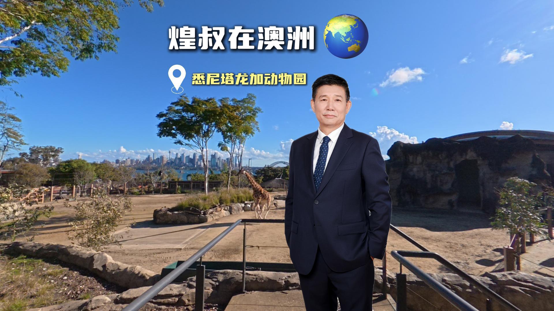 走访悉尼塔龙加动物园，读懂乡墅建造的底层逻辑